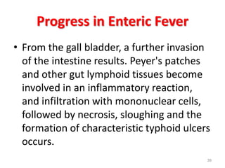 Progress in Enteric Fever
• From the gall bladder, a further invasion
of the intestine results. Peyer's patches
and other gut lymphoid tissues become
involved in an inflammatory reaction,
and infiltration with mononuclear cells,
followed by necrosis, sloughing and the
formation of characteristic typhoid ulcers
occurs.
39
 