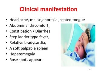 Clinical manifestation
• Head ache, malise,anorexia ,coated tongue
• Abdominal discomfort,
• Constipation / Diarrhea
• Step ladder type fever,
• Relative bradycardia,
• A soft palpable spleen
• Hepatomegaly
• Rose spots appear
42
 