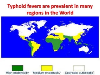 Typhoid fevers are prevalent in many
regions in the World
6
 