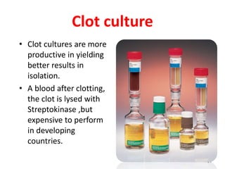 Clot culture
• Clot cultures are more
productive in yielding
better results in
isolation.
• A blood after clotting,
the clot is lysed with
Streptokinase ,but
expensive to perform
in developing
countries.
64
 