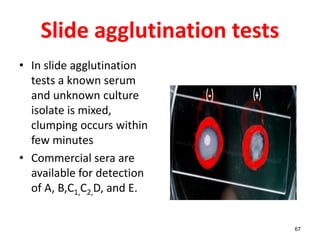 Slide agglutination tests
• In slide agglutination
tests a known serum
and unknown culture
isolate is mixed,
clumping occurs within
few minutes
• Commercial sera are
available for detection
of A, B,C1,C2,D, and E.
67
 