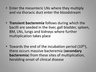 • Enter the mesenteric LNs where they multiply
and via thoracic duct enter the bloodstream
• Transient bacteremia follows during which the
bacilli are seeded in the liver, gall bladder, spleen,
BM, LNs, lungs and kidneys where further
multiplication takes place
• Towards the end of the incubation period (10th),
there occurs massive bacteremia (secondary
bacteremia) from these sites of multiplication,
heralding onset of clinical disease
 