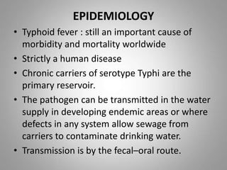 EPIDEMIOLOGY
• Typhoid fever : still an important cause of
morbidity and mortality worldwide
• Strictly a human disease
• Chronic carriers of serotype Typhi are the
primary reservoir.
• The pathogen can be transmitted in the water
supply in developing endemic areas or where
defects in any system allow sewage from
carriers to contaminate drinking water.
• Transmission is by the fecal–oral route.
 