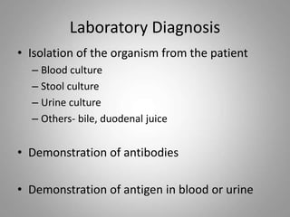 Laboratory Diagnosis
• Isolation of the organism from the patient
– Blood culture
– Stool culture
– Urine culture
– Others- bile, duodenal juice
• Demonstration of antibodies
• Demonstration of antigen in blood or urine
 