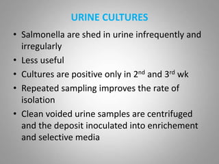 URINE CULTURES
• Salmonella are shed in urine infrequently and
irregularly
• Less useful
• Cultures are positive only in 2nd and 3rd wk
• Repeated sampling improves the rate of
isolation
• Clean voided urine samples are centrifuged
and the deposit inoculated into enrichement
and selective media
 