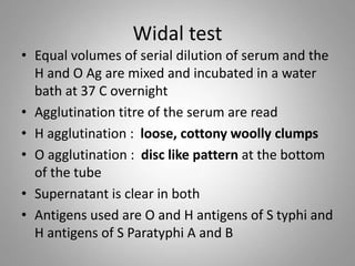 Widal test
• Equal volumes of serial dilution of serum and the
H and O Ag are mixed and incubated in a water
bath at 37 C overnight
• Agglutination titre of the serum are read
• H agglutination : loose, cottony woolly clumps
• O agglutination : disc like pattern at the bottom
of the tube
• Supernatant is clear in both
• Antigens used are O and H antigens of S typhi and
H antigens of S Paratyphi A and B
 