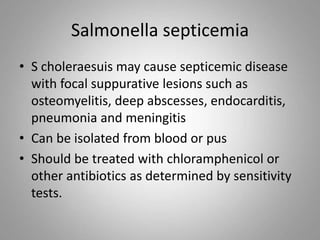 Salmonella septicemia
• S choleraesuis may cause septicemic disease
with focal suppurative lesions such as
osteomyelitis, deep abscesses, endocarditis,
pneumonia and meningitis
• Can be isolated from blood or pus
• Should be treated with chloramphenicol or
other antibiotics as determined by sensitivity
tests.
 