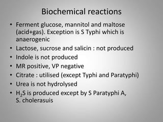 Biochemical reactions
• Ferment glucose, mannitol and maltose
(acid+gas). Exception is S Typhi which is
anaerogenic
• Lactose, sucrose and salicin : not produced
• Indole is not produced
• MR positive, VP negative
• Citrate : utilised (except Typhi and Paratyphi)
• Urea is not hydrolysed
• H2S is produced except by S Paratyphi A,
S. cholerasuis
 