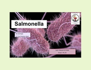 Salmonella
León Vásquez liz Aniela
Grupo:1 NL:25
Microbiología
Dr. Cruz Ocampo Josué
Enrique
 