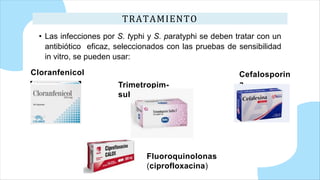 TRATAMIENTO
• Las infecciones por S. typhi y S. paratyphi se deben tratar con un
antibiótico eficaz, seleccionados con las pruebas de sensibilidad
in vitro, se pueden usar:
Fluoroquinolonas
(ciprofloxacina)
Cloranfenicol
Trimetropim-
sulfametoxazol
Cefalosporin
a
 