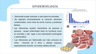 EPIDEMIOLOGÍA
• Salmonella puede colonizar a casi todos los animales,
• Se adquiere princinpalmente al consumir alimentos
contaminados, como aves de corral, huevos y productos
lácteos.
• Las infecciones pueden transmitirse de persona a
persona, causar enfermedad tanto en humanos como
en animales, y dar lugar a una colonización prolongada
y asintomática.
• Las infecciones por Salmonella son más comunes en
niños menores de 5 años y adultos mayores,
especialmente durante los meses cálidos del año.
 