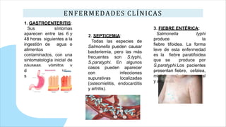 ENFERMEDADES CLÍNICAS
1. GASTROENTERITIS:
Sus síntomas
aparecen entre las 6 y
48 horas siguientes a la
ingestión de agua o
alimentos
contaminados, con una
sintomatología inicial de
náuseas, vómitos y
diarrea no
sanguinolenta.
2. SEPTICEMIA:
Todas las especies de
Salmonella pueden causar
bacteriemia, pero las más
frecuentes son S.typhi,
S.paratyphi. En algunos
casos pueden aparecer
con infecciones
supurativas localizadas
(osteomielitis, endocarditis
y artritis).
3. FIEBRE ENTÉRICA:
Salmonella typhi
produce la
fiebre tifoidea. La forma
leve de esta enfermedad
es la fiebre paratifoidea
que se produce por
S.paratyphi.Los pacientes
presentan fiebre, cefalea,
mialgia, malestar general
y anorexia.
 