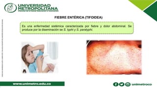 FIEBRE ENTÉRICA (TIFOIDEA)
Es una enfermedad sistémica caracterizada por fiebre y dolor abdominal. Se
produce por la diseminación se S. typhi y S. paratyphi.
 