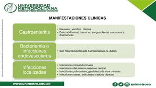 MANIFESTACIONES CLINICAS
• Nauseas, vómitos, diarrea
• Dolor abdominal, heces no sanguinolentas o acuosas y
disentéricas.
Gastroenteritis
• Son mas frecuentes por S.choleraesuis, S. dublin.
Bacteriemia e
infecciones
endovasculares
• Infecciones intraabdominales
• Infecciones del sistema nervioso central
• Infecciones pulmonares, genitales y de vías urinarias
• Infecciones oseas, articulares y tejidos blandos
Infecciones
localizadas
 