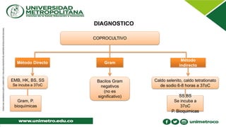 DIAGNOSTICO
COPROCULTIVO
Método Directo Gram
Método
indirecto
EMB, HK, BS, SS
Se incuba a 37oC
Gram, P.
bioquímicas
Bacilos Gram
negativos
(no es
significativo)
Caldo selenito, caldo tetrationato
de sodio 6-8 horas a 37oC
SS,BS
Se incuba a
37oC
P. Bioquimicas
 