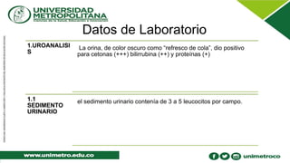 Datos de Laboratorio
1.UROANALISI
S
La orina, de color oscuro como “refresco de cola”, dio positivo
para cetonas (+++) bilirrubina (++) y proteínas (+)
1.1
SEDIMENTO
URINARIO
el sedimento urinario contenía de 3 a 5 leucocitos por campo.
 