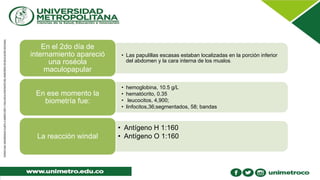 • Las papulillas escasas estaban localizadas en la porción inferior
del abdomen y la cara interna de los muslos.
En el 2do día de
internamiento apareció
una roséola
maculopapular
• hemoglobina, 10.5 g/L
• hematócrito, 0.35
• leucocitos, 4,900;
• linfocitos,36;segmentados, 58; bandas
En ese momento la
biometría fue:
• Antígeno H 1:160
• Antígeno O 1:160La reacción windal
 