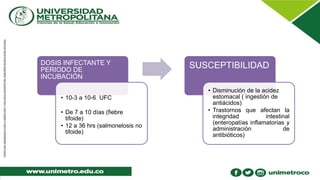 DOSIS INFECTANTE Y
PERIODO DE
INCUBACIÓN
• 10-3 a 10-6 UFC
• De 7 a 10 días (fiebre
tifoide)
• 12 a 36 hrs (salmonelosis no
tifoide)
SUSCEPTIBILIDAD
• Disminución de la acidez
estomacal ( ingestión de
antiácidos)
• Trastornos que afectan la
integridad intestinal
(enteropatías inflamatorias y
administración de
antibióticos)
 