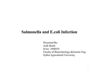 Salmonella and E.coli Infection
1
Presented By:
Anik Banik
Id no- 1606034
Faculty of Biotechnology &Genetic Eng.
Sylhet Agricultural University.
 