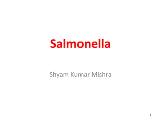 Salmonella
Shyam Kumar Mishra
1
 