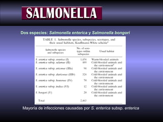 Dos especies: Salmonella enterica y Salmonella bongori

Mayoría de infecciones causadas por S. enterica subsp. enterica

 
