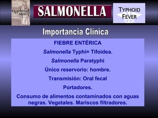 FIEBRE ENTÉRICA
Salmonella Typhi= Tifoidea.
Salmonella Paratyphi
Único reservorio: hombre.
Transmisión: Oral fecal
Portadores.
Consumo de alimentos contaminados con aguas
negras. Vegetales. Mariscos filtradores.

 