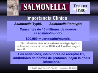Salmonella Typhi.

Salmonella Paratyphi

Causantes de 16 millones de nuevos
casos/año/mundo.
600,000 muertes/año/mundo.

Los antiácidos, inhibidores de receptor H2,
inhibidores de bomba de protones, bajan la dosis
infecciosa.

 