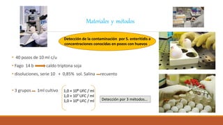 Materiales y métodos
• 40 pozos de 10 ml c/u
• Fago 14 b caldo triptona soja
• disoluciones, serie 10 + 0,85% sol. Salina recuento
• 3 grupos 1ml cultivo
Detección de la contaminación por S. enteritidis a
concentraciones conocidas en pozos con huevos .
1,0 × 10⁸ UFC / ml
1,0 × 10⁷ UFC / ml
1,0 × 10⁶ UFC / ml Detección por 3 métodos…
 