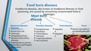 Salmonella food born disease caused in human | PPTX