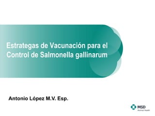 Antonio López M.V. Esp.
Estrategas de Vacunación para el
Control de Salmonella gallinarum
 