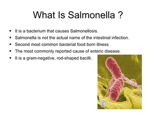 What Is Salmonella ? It is a bacterium that causes Salmonellosis.  Salmonella is not the actual name of the intestinal infection. Second most common bacterial food born illness  The most commonly reported cause of enteric disease. It is a gram-negative, rod-shaped bacilli. 