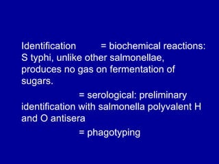 Identification  = biochemical reactions: S typhi, unlike other salmonellae, produces no gas on fermentation of sugars. = serological: preliminary identification with salmonella polyvalent H and O antisera = phagotyping  