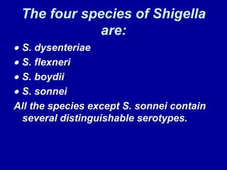 The four species of Shigella are:    S. dysenteriae    S. flexneri    S. boydii     S. sonnei All the species except S. sonnei contain several distinguishable serotypes.    