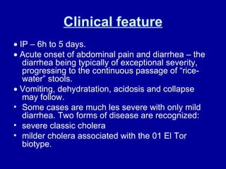Clinical feature    IP – 6h to 5 days.    Acute onset of abdominal pain and diarrhea – the diarrhea being typically of exceptional severity, progressing to the continuous passage of “rice-water” stools.     Vomiting, dehydratation, acidosis and collapse may follow.  Some cases are much les severe with only mild diarrhea. Two forms of disease are recognized: severe classic cholera milder cholera associated with the 01 El Tor biotype. 