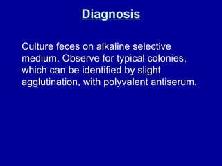 Diagnosis Culture feces on alkaline selective medium. Observe for typical colonies, which can be identified by slight agglutination, with polyvalent antiserum. 