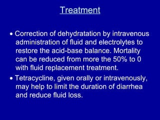 Treatment    Correction of dehydratation by intravenous administration of fluid and electrolytes to restore the acid-base balance. Mortality can be reduced from more the 50% to 0 with fluid replacement treatment.    Tetracycline, given orally or intravenously, may help to limit the duration of diarrhea and reduce fluid loss.  