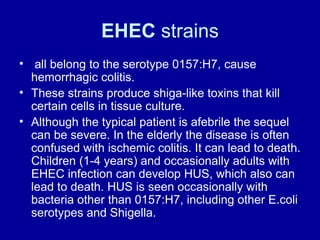 EHEC  strains all belong to the serotype 0157:H7, cause hemorrhagic colitis.  These strains produce shiga-like toxins that kill certain cells in tissue culture.  Although the typical patient is afebrile the sequel can be severe. In the elderly the disease is often confused with ischemic colitis. It can lead to death. Children (1-4 years) and occasionally adults with EHEC infection can develop HUS, which also can lead to death. HUS is seen occasionally with bacteria other than 0157:H7, including other E.coli serotypes and Shigella.  