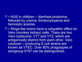    HUS in children – diarrheal prodrome, followed by uremia, throbocytopenia and hemolytic anemia.    Shiga-like toxins have a cytopathic effect on Vero (monkey kidney) cells. There are two Vero cytotoxins, VT1 and VT2, which are antigenically distinct from each other. Vero cytotoxin – producing E.coli strains are known as VTEC. Over 80% phagotypes of serogroup 0157 can be distinguished.  