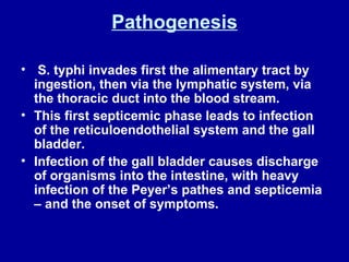 Pathogenesis S. typhi invades first the alimentary tract by ingestion, then via the lymphatic system, via the thoracic duct into the blood stream.  This first septicemic phase leads to infection of the reticuloendothelial system and the gall bladder.  Infection of the gall bladder causes discharge of organisms into the intestine, with heavy infection of the Peyer’s pathes and septicemia – and the onset of symptoms.  