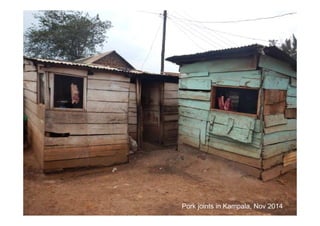 Occurrence of Salmonella spp. in flies and foodstuff from pork butcheries in Kampala, Uganda