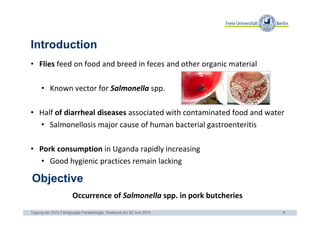 Occurrence of Salmonella spp. in flies and foodstuff from pork butcheries in Kampala, Uganda