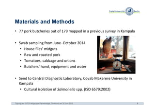 Occurrence of Salmonella spp. in flies and foodstuff from pork butcheries in Kampala, Uganda