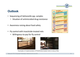 Occurrence of Salmonella spp. in flies and foodstuff from pork butcheries in Kampala, Uganda