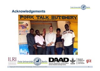 Occurrence of Salmonella spp. in flies and foodstuff from pork butcheries in Kampala, Uganda