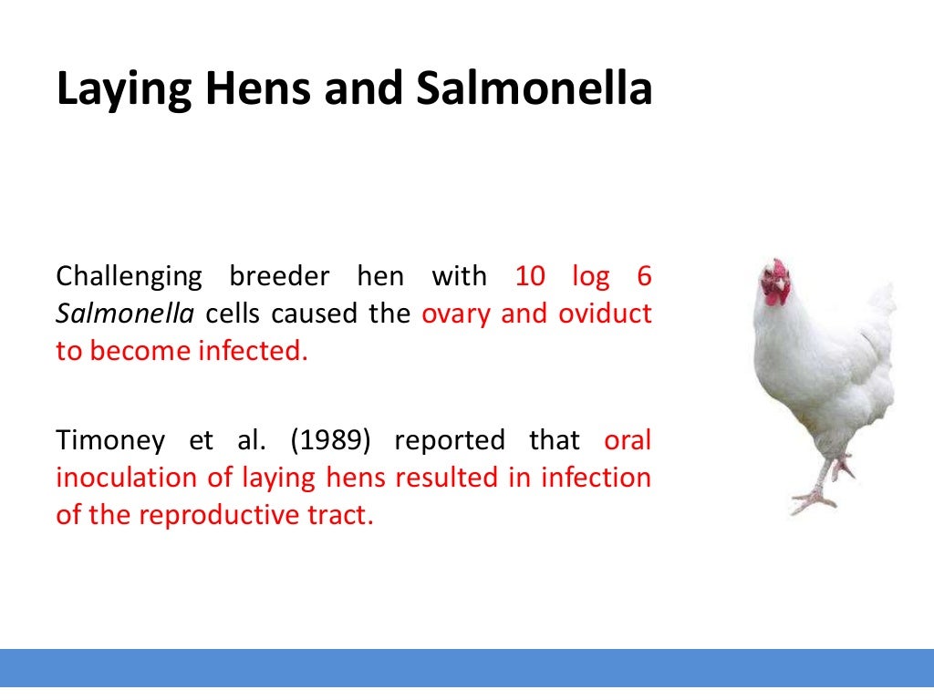 Salmonella in poultry