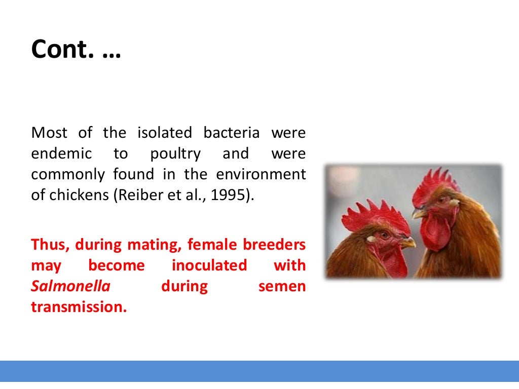 Salmonella in poultry