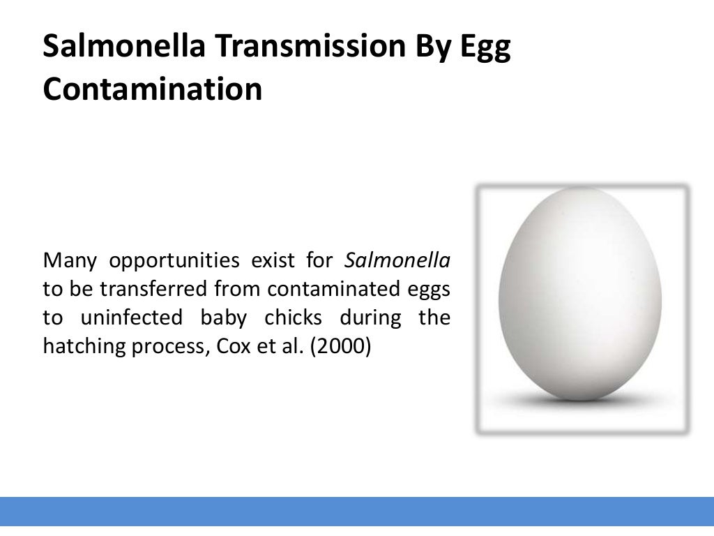 Salmonella in poultry