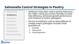 › Biosecurity
› Antibiotics
› Prebiotics
› Probiotics
› Synbiotics
› Postbiotics
› Phytobiotics
› Bacteriophages
› Antibiotics have been used in poultry feed since
the 1940s, mainly due to their benefits on birds’
feed efficiency, enhanced growth performance,
and inhibition of enteric pathogens.
› The list of antibiotics used as feed additives to
combat enteric pathogens includes small
quantities of;
1. Penicillin
2. Tetracycline
3. Chloramphenicol.
Salmonella Control Strategies in Poultry
 
