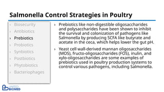 › Biosecurity
› Antibiotics
› Prebiotics
› Probiotics
› Synbiotics
› Postbiotics
› Phytobiotics
› Bacteriophages
› Prebiotics like non-digestible oligosaccharides
and polysaccharides have been shown to inhibit
the survival and colonization of pathogens like
Salmonella by producing SCFA like butyrate and
acetate in the ceca, which helps lower the gut pH.
› Yeast cell wall-derived mannan oligosaccharides
(MOS), fructo-oligosaccharides (FOS), inulin, and
xylo-oligosaccharides are some examples of
prebiotics used in poultry production systems to
control various pathogens, including Salmonella.
Salmonella Control Strategies in Poultry
 