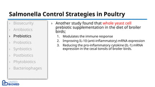 › Biosecurity
› Antibiotics
› Prebiotics
› Probiotics
› Synbiotics
› Postbiotics
› Phytobiotics
› Bacteriophages
› Another study found that whole yeast cell
prebiotic supplementation in the diet of broiler
birds;
1. Modulates the immune response
2. Improving IL-10 (anti-inflammatory) mRNA expression
3. Reducing the pro-inflammatory cytokine (IL-1) mRNA
expression in the cecal tonsils of broiler birds.
Salmonella Control Strategies in Poultry
 